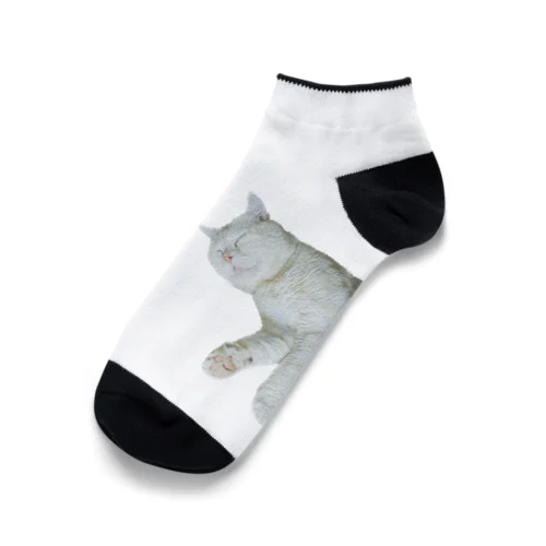 きいちゃんすやすやグッズ Ankle Socks