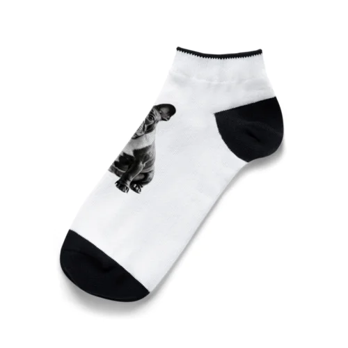 Frebull❤︎ Ankle Socks