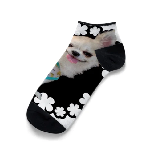 ぴょんふぁ Ankle Socks