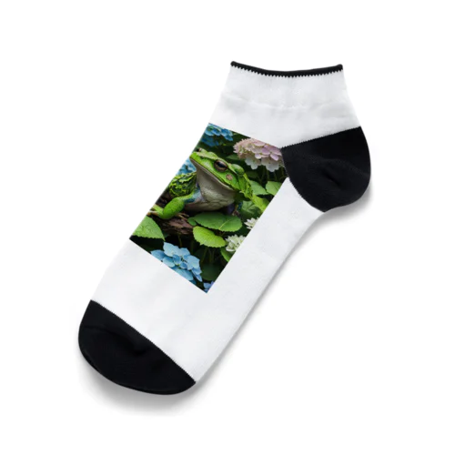 アジサイの茂みから聞こえてくるカエルの鳴き声 Ankle Socks