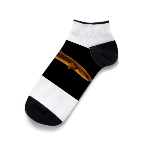 ポリプテルス グッズ Ankle Socks