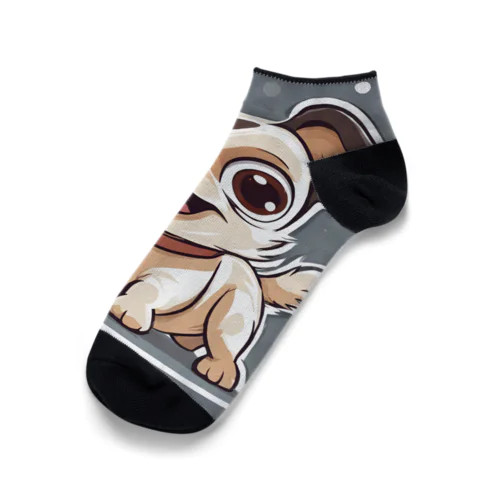 ふわふわでまるでぬいぐるみのような愛らしい小型犬💖 Ankle Socks