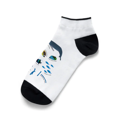 沖縄の海の生き物 Ankle Socks