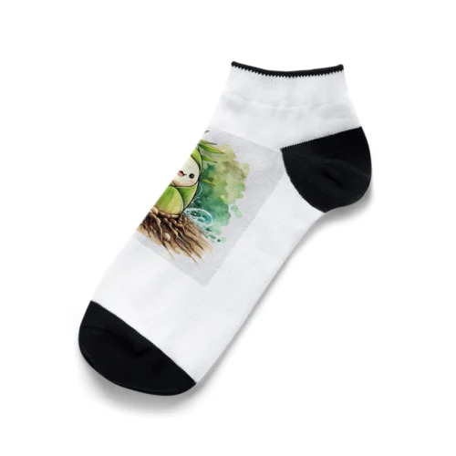 緑の竹の子 Ankle Socks