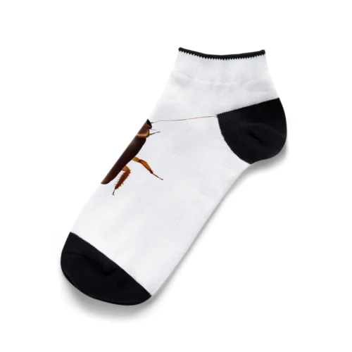 リアル絵のゴキブリ Ankle Socks