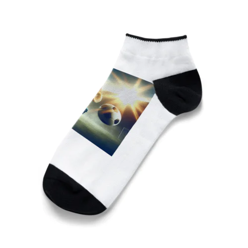 サッカーの醍醐味 Ankle Socks