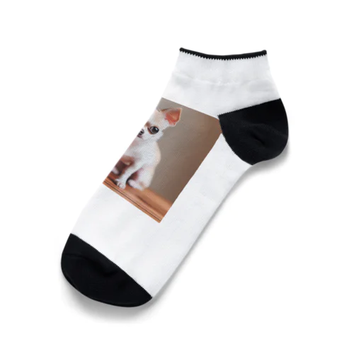 チワワの可愛らしい写真です！ Ankle Socks