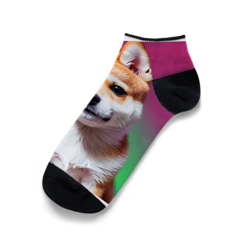 キュルルン顔の柴犬さん Ankle Socks