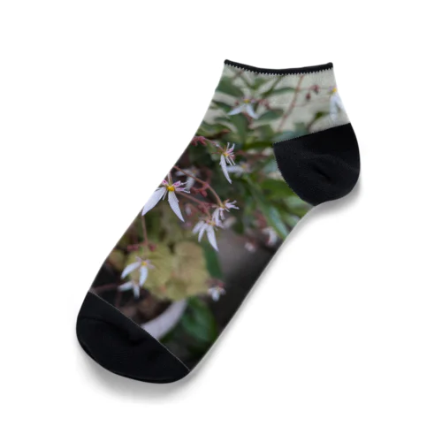 ユキノシタのお花が可愛らしい〜 Ankle Socks