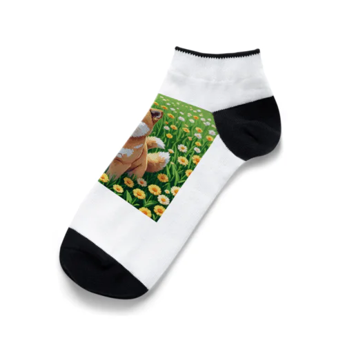 お花畑と柴犬 Ankle Socks