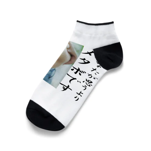 貴方が思うよりメタボです Ankle Socks