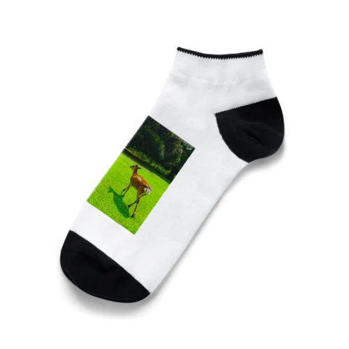 奈良公園の鹿が変える姿 Ankle Socks
