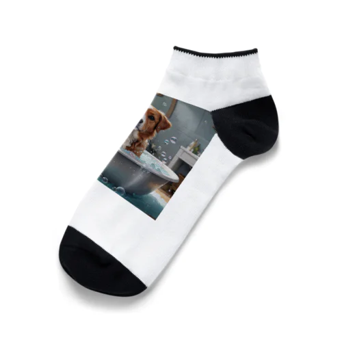 犬の水浴び Ankle Socks