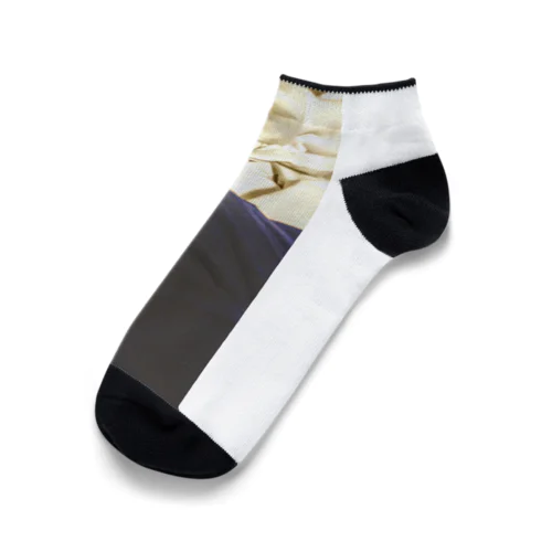 二色 Ankle Socks