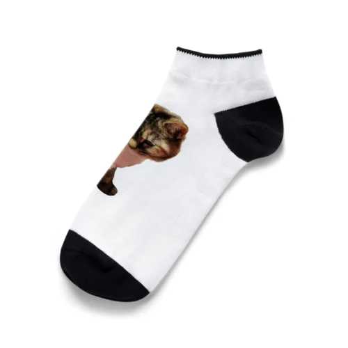 お座りタマちゃん Ankle Socks
