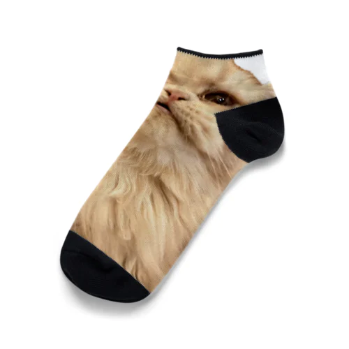 怒る猫 Ankle Socks