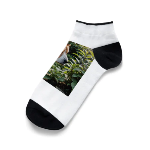 草と犬 Ankle Socks