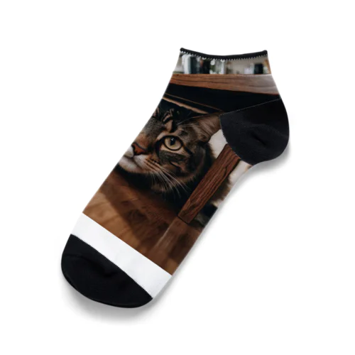 隠れる猫 Ankle Socks