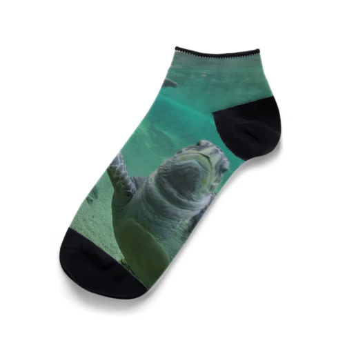 Sea ​​turtle Ankle Socks