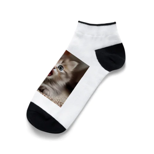 ビックリした子猫 Ankle Socks