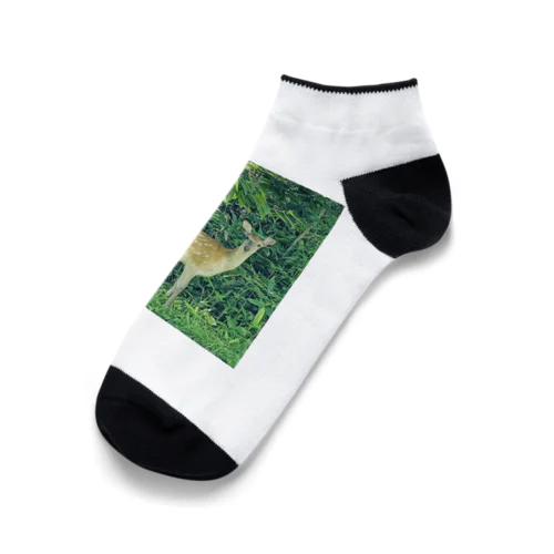 エゾシカくん Ankle Socks