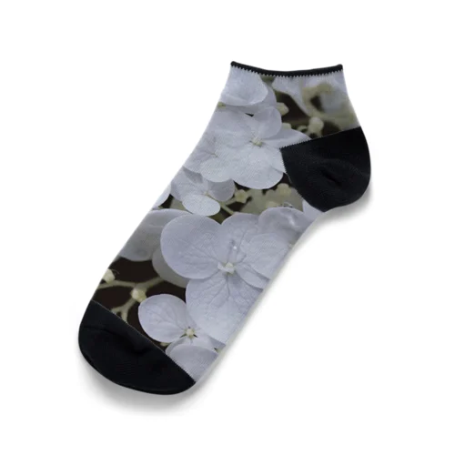 annabelle Ankle Socks