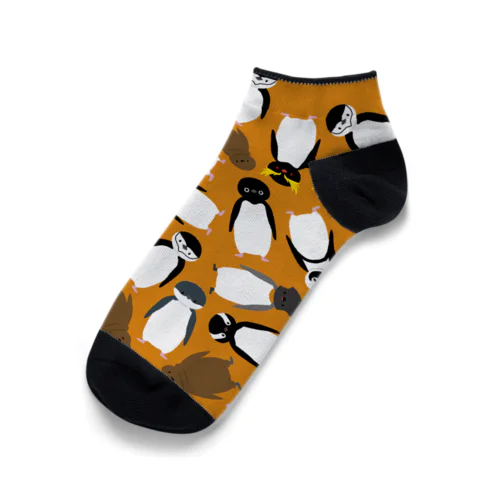 いろんなペンギン(オレンジ) Ankle Socks