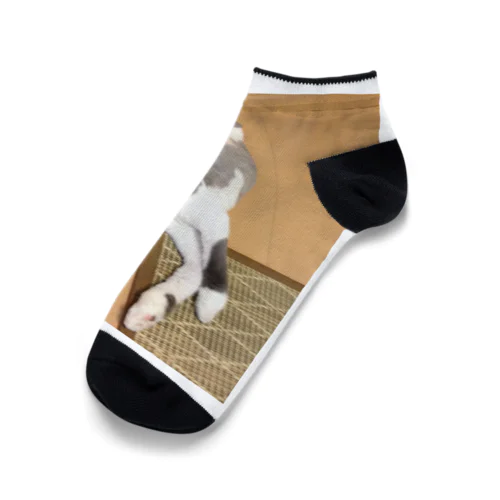 けむけ Ankle Socks