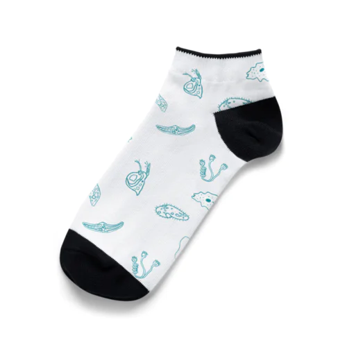 微生物がいっぱい Ankle Socks