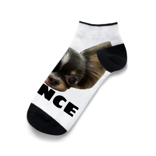 PRINCE  チワワ　ホワイト Ankle Socks