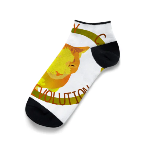 Ordinary Cats05h.t. (秋) Ankle Socks