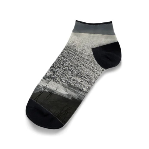 202004241513000　銀の海岸線 Ankle Socks