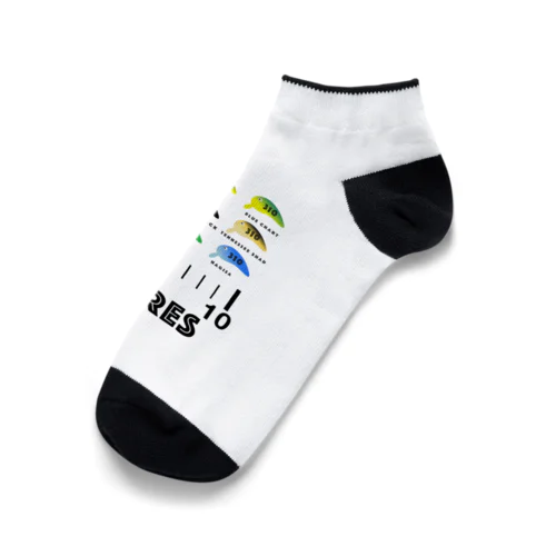 佐藤さんのクランクベイト Ankle Socks