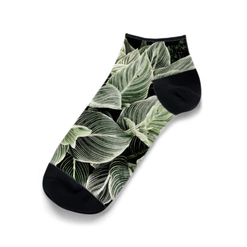 モダングリーン Ankle Socks