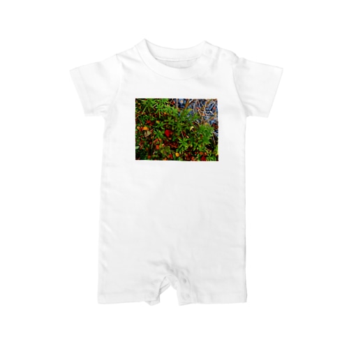 秋の水辺　DATA_P_145 Rompers