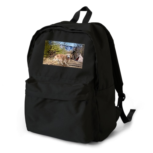 ◇ゴールデンレトリバーとキャンプ◇ Backpack