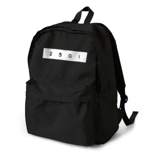 project 2501 Backpack