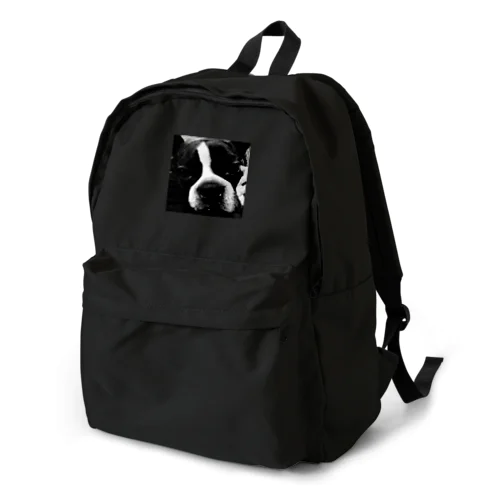 osero Backpack