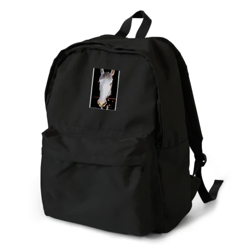 YTI in Japan 12 Backpack