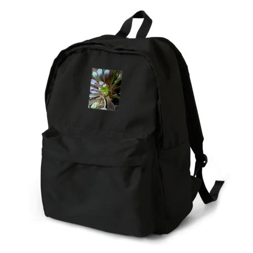 多肉植物の黒法師 Backpack