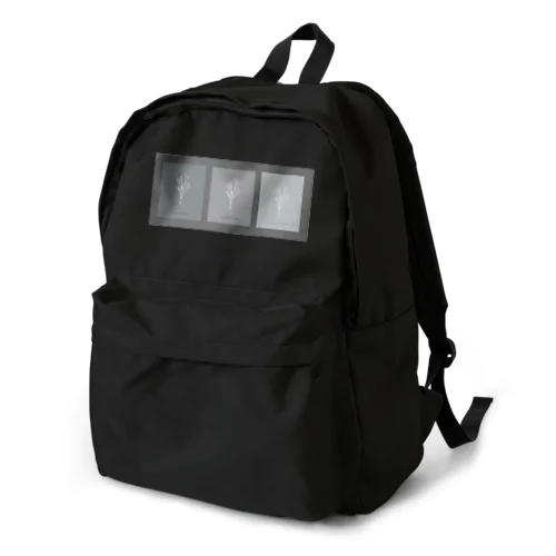 3 frame gray Backpack