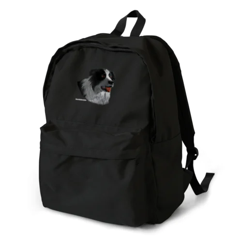 Smart Collie Dog Backpack