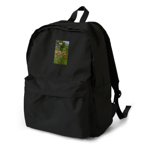 梅柄 Backpack