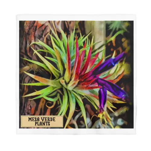 MESA VERDE PLANTS バンダナ