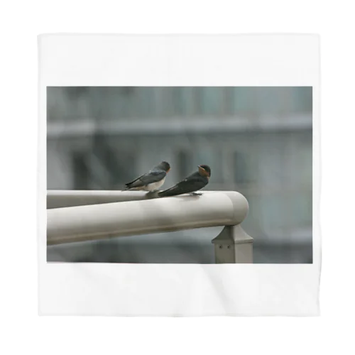 スワローズ - Swallows - バンダナ
