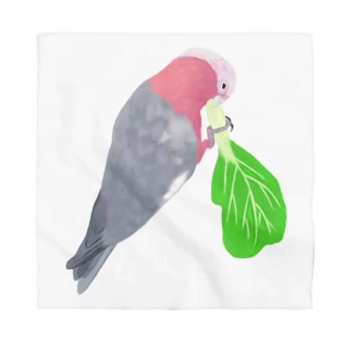 チンゲン菜食べるモモイロインコ Bandana