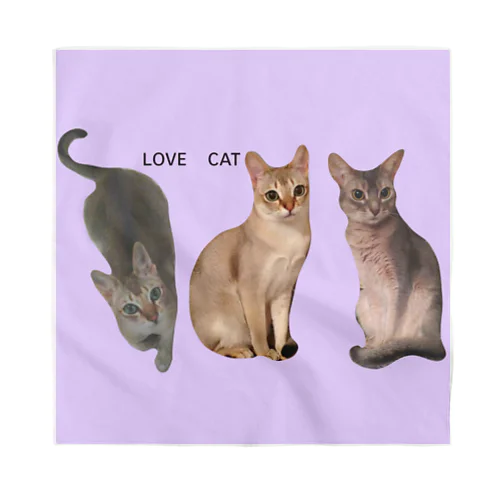 LOVE  CAT シンガプーラ&アビシニアン バンダナ
