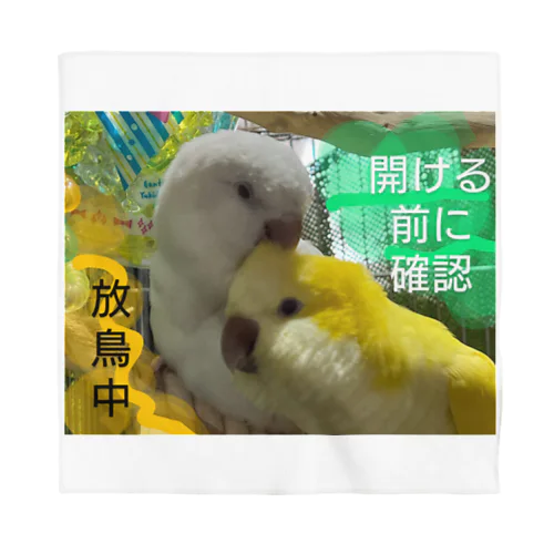 放鳥中１ バンダナ