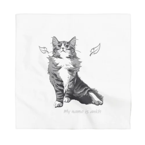 ノルエージャンフォレストキャット　angel　Angel Bandana