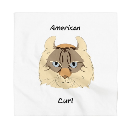 アメリカンカール Bandana